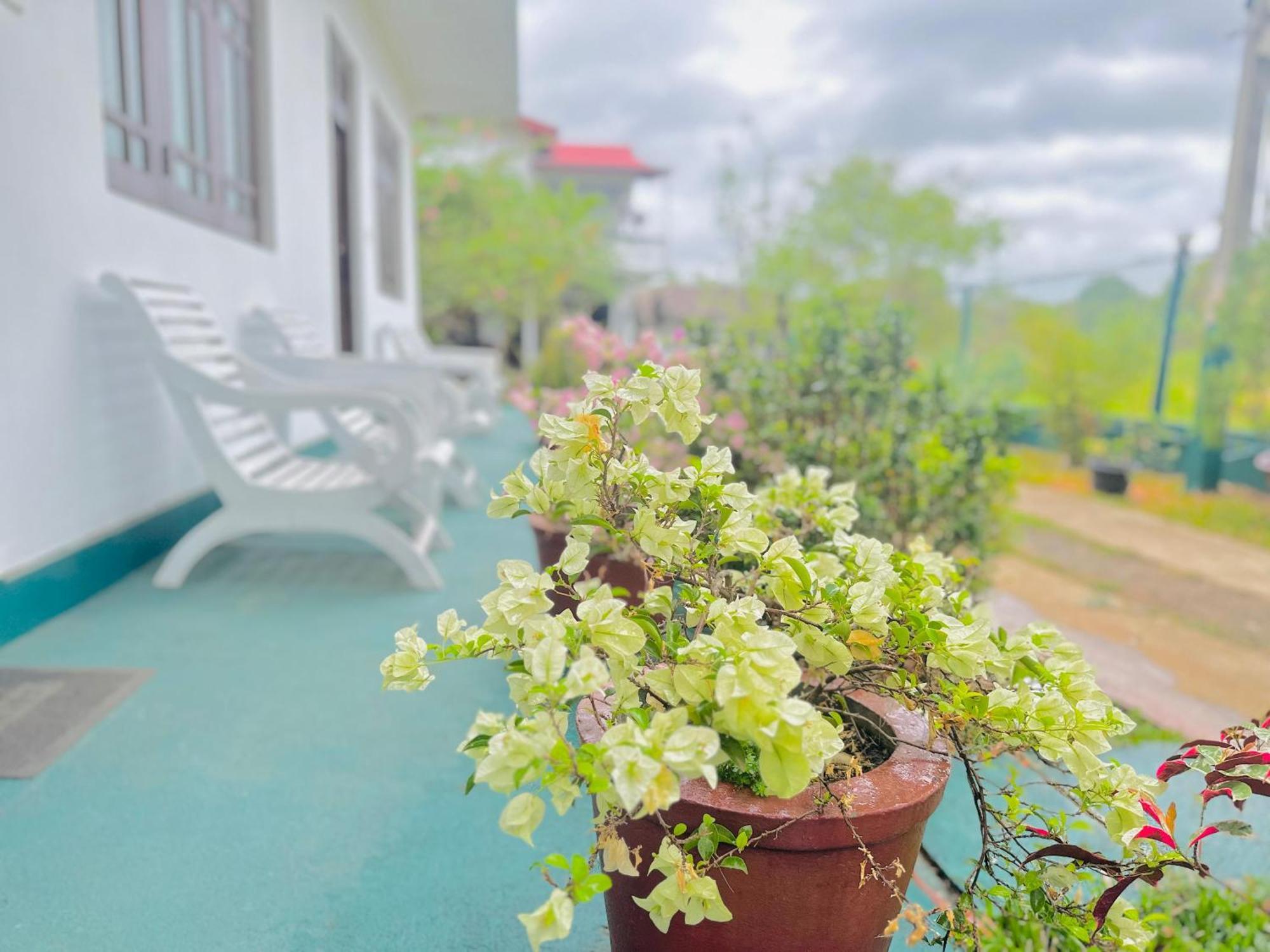 New Peacock Resort Dambulla Εξωτερικό φωτογραφία